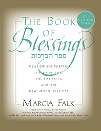 The Book of Blessings by Marcia Falk